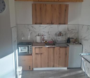 Pluzine Apartment | Apartment Pivljanka
