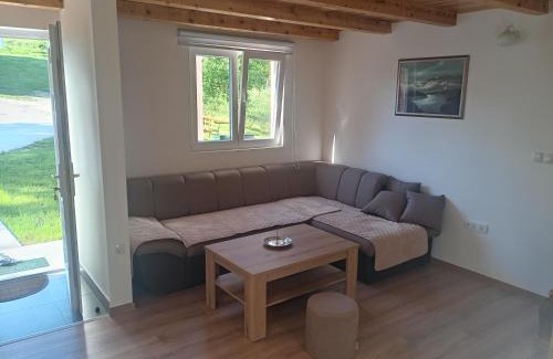 Pluzine Apartment | Apartment Pivljanka