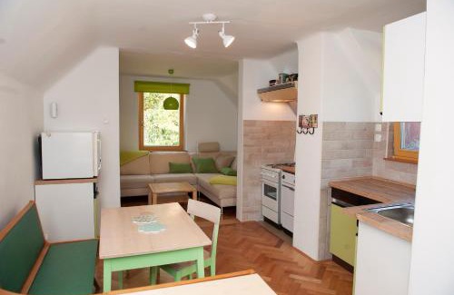 Jesenice Apartment | Apartment Polane