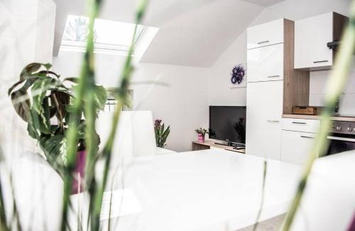 Eggenberg Apartment | Apartment PourinGraz für Kunst- und Tennisliebhaber