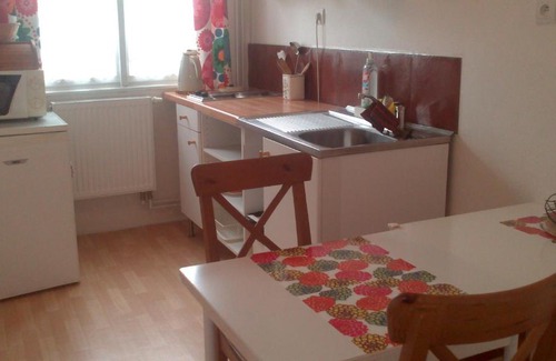 Frantiskovy Lazne Apartment | Apartment Provence