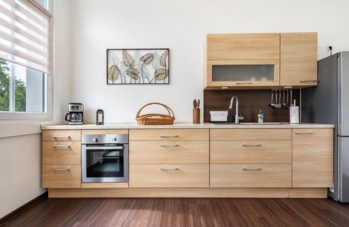 Lauta Apartment | Apartment 'Quartier' with Wi-Fi