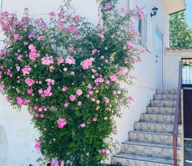 Pousada Apartment | Apartment QUINTA DE AREIAS