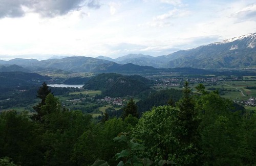 Bled Apartment | Apartment Ribno