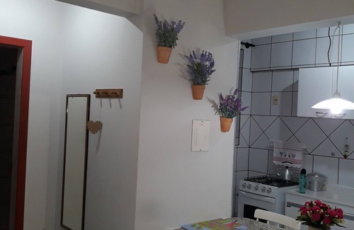 Ingleses do Rio Vermelho Apartment | Apartment right in the center of Ingleses.