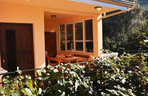 Lepetane Apartment | Apartment Rita