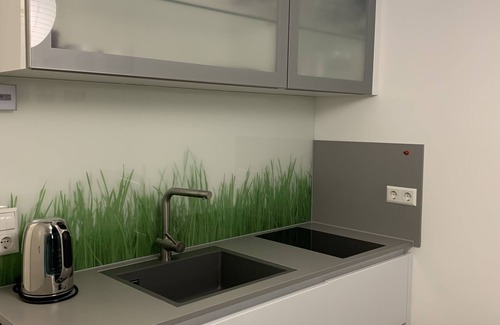Malter Apartment | Apartment Rosengasse