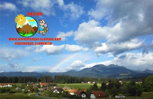 Slovenj Gradec Apartment | Apartment Rozika