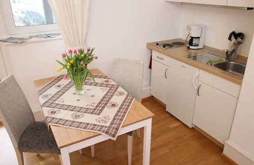 Hofsgrund Apartment | Apartment Schauinsland, beautiful view, hiking, mountain biking, recreation