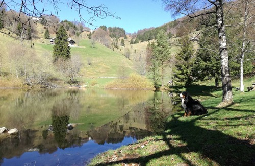 Hofsgrund Apartment | Apartment Schauinsland, beautiful view, hiking, mountain biking, recreation
