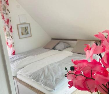 Recke Apartment | Apartment Scholle Steinbeck