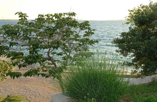 Rtina Apartment | Apartment Seaview, Rtina