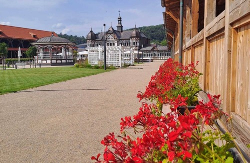 Bad Salzungen Apartment | Apartment Seeblick,ihr Einzigartiger Aufenthalt Direkt am Bad Salzunger Burgsee