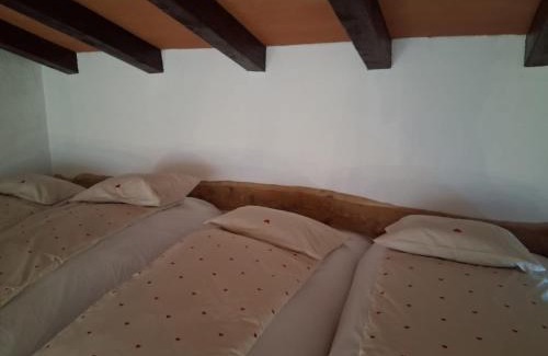 Nova Gorica Apartment | Apartment Senik