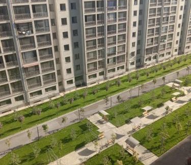 Tashkent Apartment | Apartment seven B