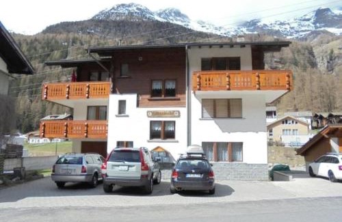 Saas Grund Apartment | Apartment Silberdistel by Interhome