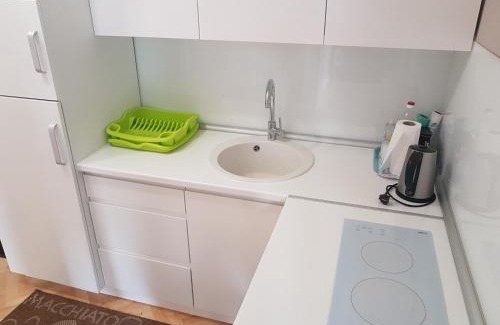 Valjevo Apartment | Apartment Simić