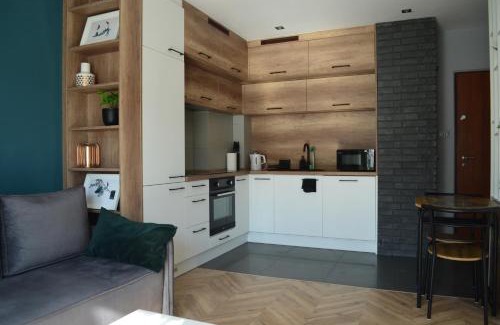 Sosnowiec Apartment | Apartment Sosnowiec City - FREE PARKING - easy check-in