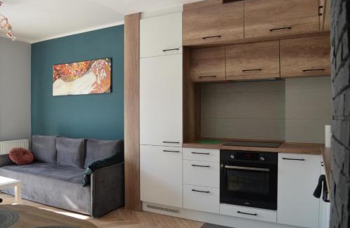 Sosnowiec Apartment | Apartment Sosnowiec City - FREE PARKING - easy check-in