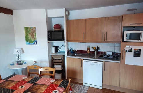 Puy-Saint-Vincent Apartment | APARTMENT south-west facing PIED DES PISTES + private parking
