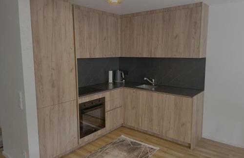 Singen Apartment | Apartment Stadtgarten