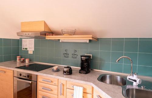 Dolenjske Toplice Apartment | Apartment Stella