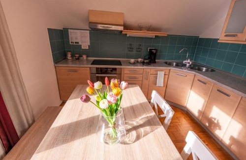 Dolenjske Toplice Apartment | Apartment Stella