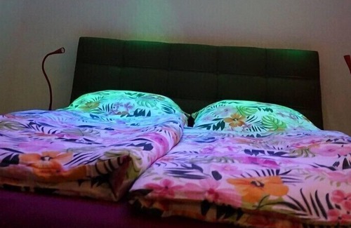 Sachsenheim Apartment | Apartment Stephan, 24 sqm, max. 3 people