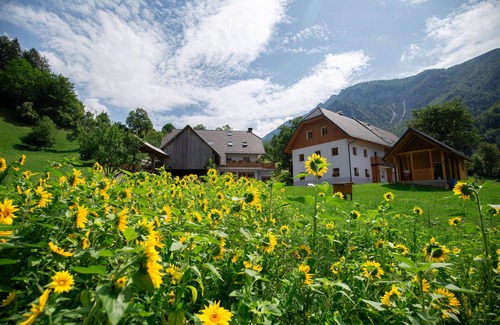 Lom pod Storzicem Apartment | Apartment Storman 1, Farm, Countryside, Nature, Family, 20 km from Bled, 4 persons