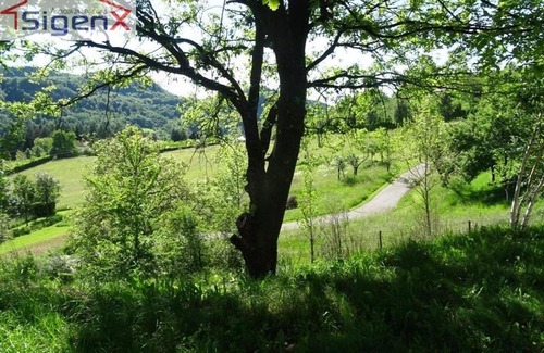 Semizovac Apartment | Apartment Sultan