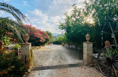 Son Macia Apartment | Apartment Tejado in Manacor Mallorca - Adults Only
