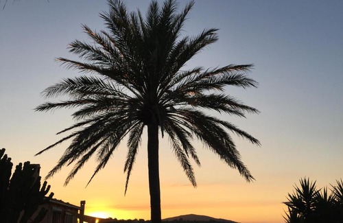 Son Macia Apartment | Apartment Tejado in Manacor Mallorca - Adults Only