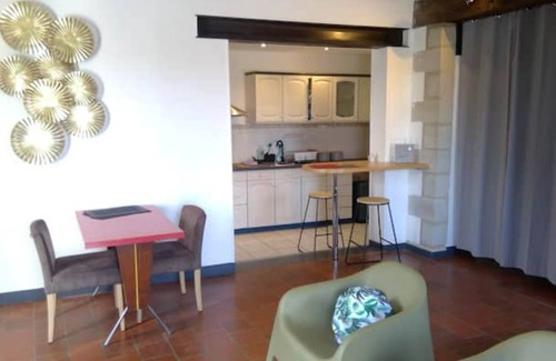 Bouchemaine Apartment | Apartment terrace Loire view