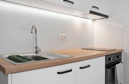 Greifswald Apartment | Apartment 'Terrace Loft By Botanical Garden' with Private Terrace, Balcony and Wi-Fi