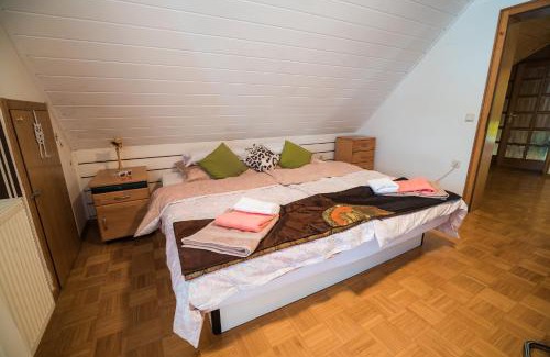 Cerklje ob Krki Apartment | Apartment Tina with Seasonal Pool