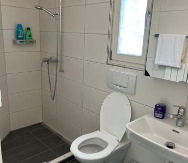 Central Interlaken Apartment | Apartment TOM