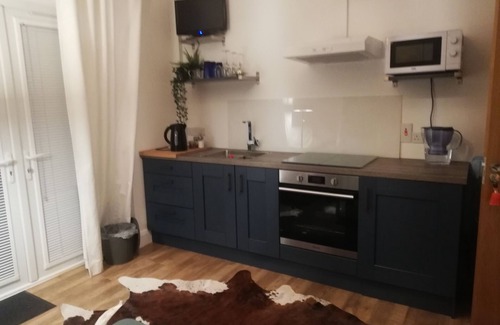 Loughinisland Apartment | Apartment totally private entrance, sauna, shower, bedroom, studio,bathroom.