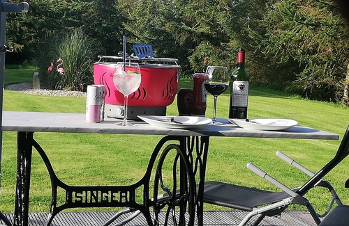 Loughinisland Apartment | Apartment totally private entrance, sauna, shower, bedroom, studio,bathroom.