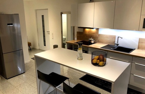 Schwabach Apartment | Apartment 'Traumhaftes Loft Wintergarten' with Shared Terrace, Wi-Fi and Air Conditioning