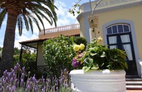 Puerto de la Cruz Apartment | Apartment Typ B