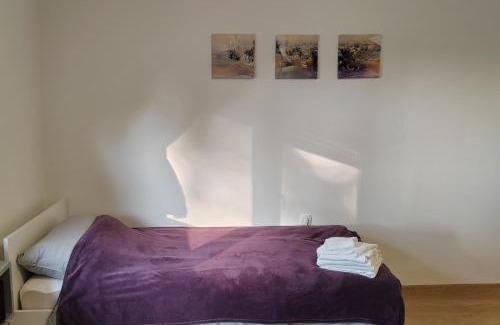Bjelovar Apartment | Apartment Una