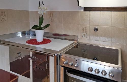 Studor Apartment | Apartment V&N, LAKE BOHINJ