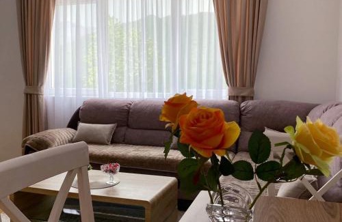 Pluzine Apartment | Apartment Varezić