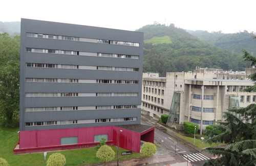 Mieres del Camino Apartment | apartment vega de arriba mieres