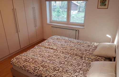 Slovenske Konjice Apartment | Apartment Venko
