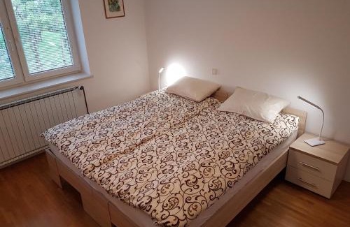 Slovenske Konjice Apartment | Apartment Venko