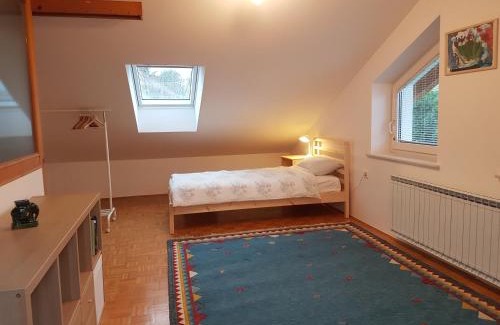 Slovenske Konjice Apartment | Apartment Venko