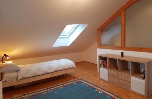 Slovenske Konjice Apartment | Apartment Venko