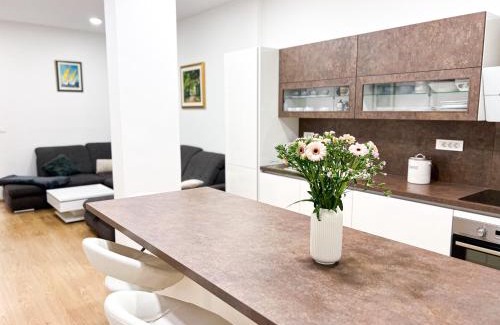 Ljubljana Apartment | Apartment VIČ