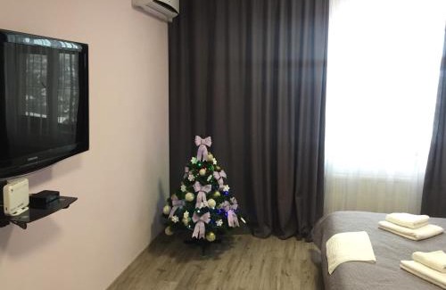 Kamenets-Podol'skiy Apartment | Apartment Vid na Krepost